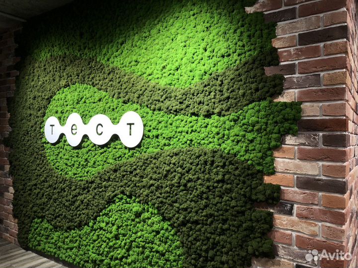 Панно из стабилизированного мха