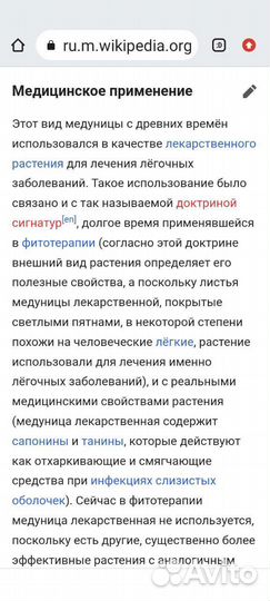 Медуница, хоста