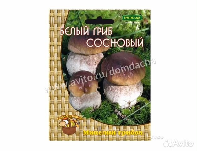 Белый гриб сосновый (мицелий на компосте), 1шт