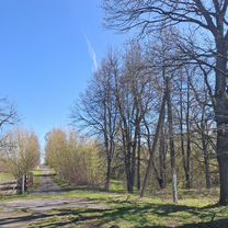 Участок (Беларусь), Толочин