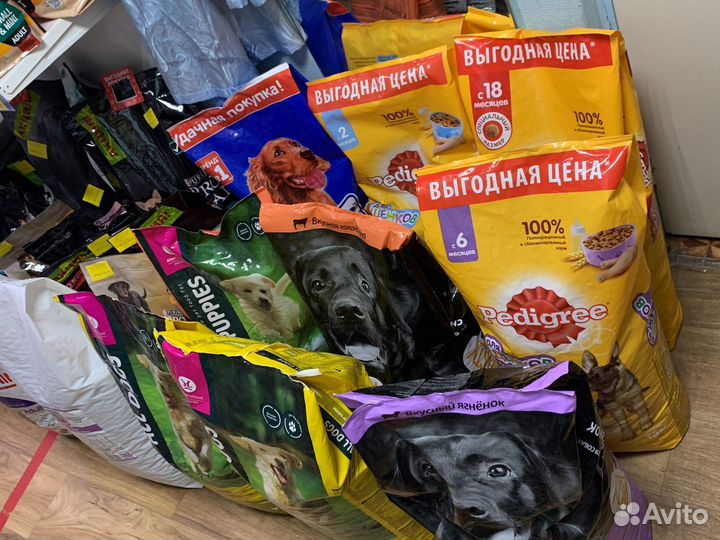 Корм для собак