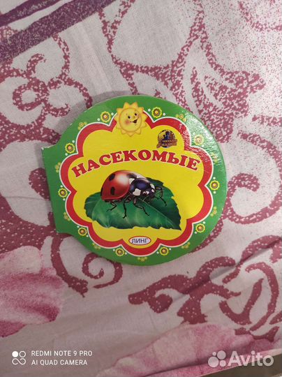 Насекомые