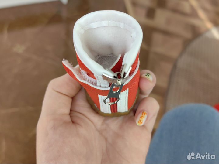 Ботинки для маленьких собак
