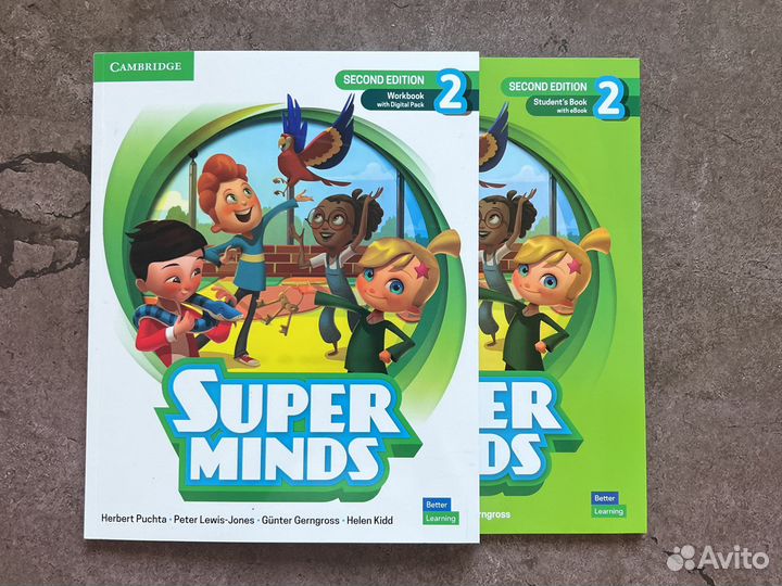 Super minds 2 second edition