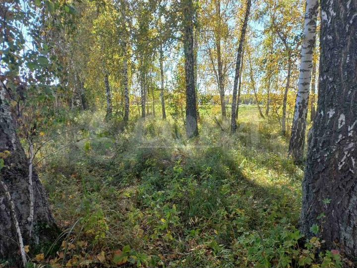 Участок 11,4 сот. (ИЖС)