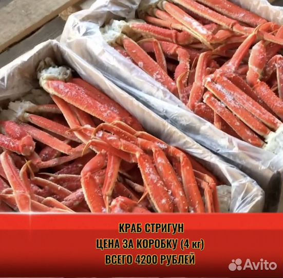 Клешни краба стригуна