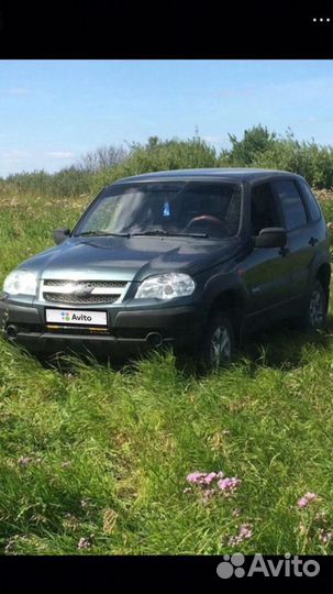 Chevrolet Niva, 2010