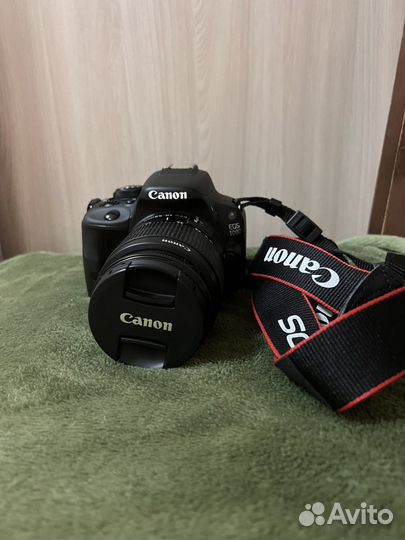 Зеркальный фотоаппарат canon EOS 100D