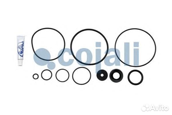 Р/н ускорительного клапана 6012033 Cojali