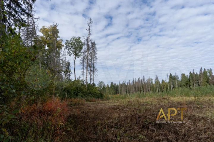 Участок 8 сот. (ИЖС)