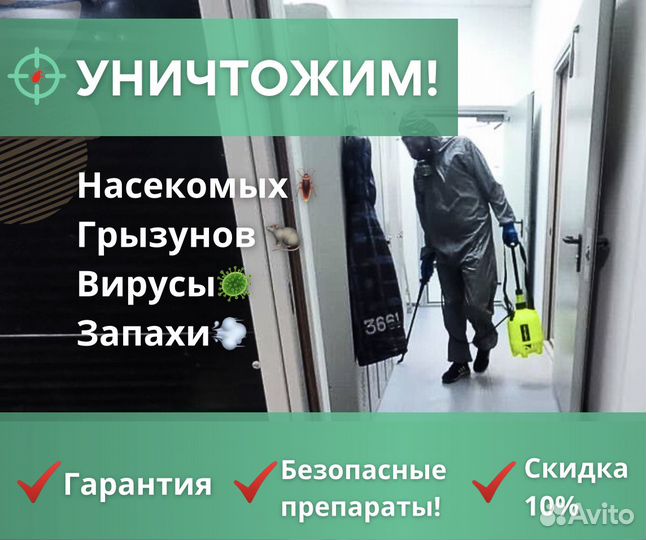 Обработка от тараканов, клопов, ос и шершней