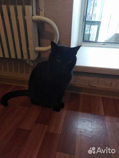 Цветов не надо