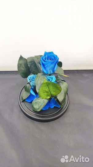 Роза в колбе