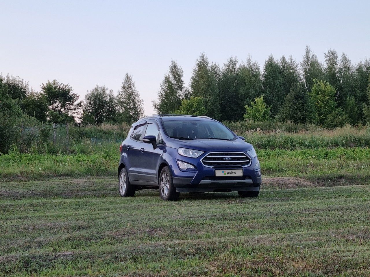 Ford EcoSport: фото владельца