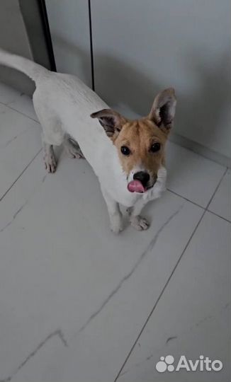 В добрые руки малыш