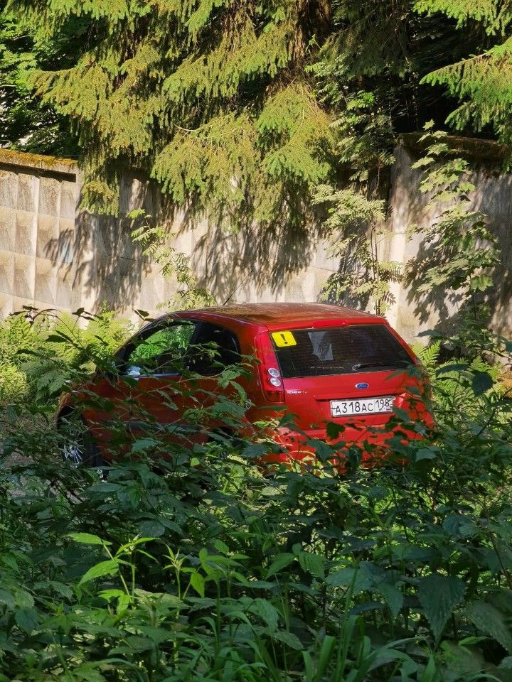 Ford Fiesta: фото владельца