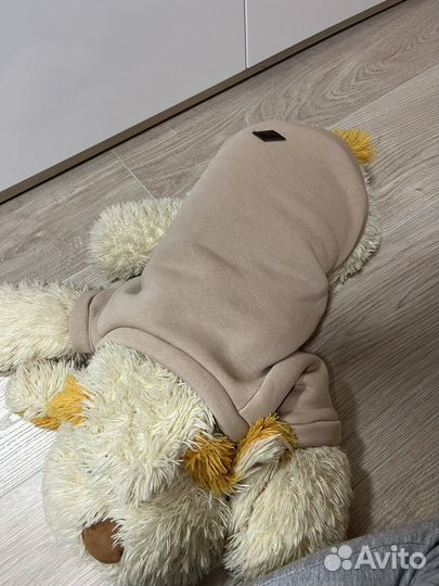 Одежда для средних собак