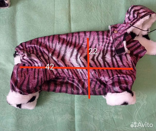 Костюм для собаки