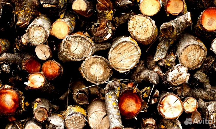 Дрова 35 см
