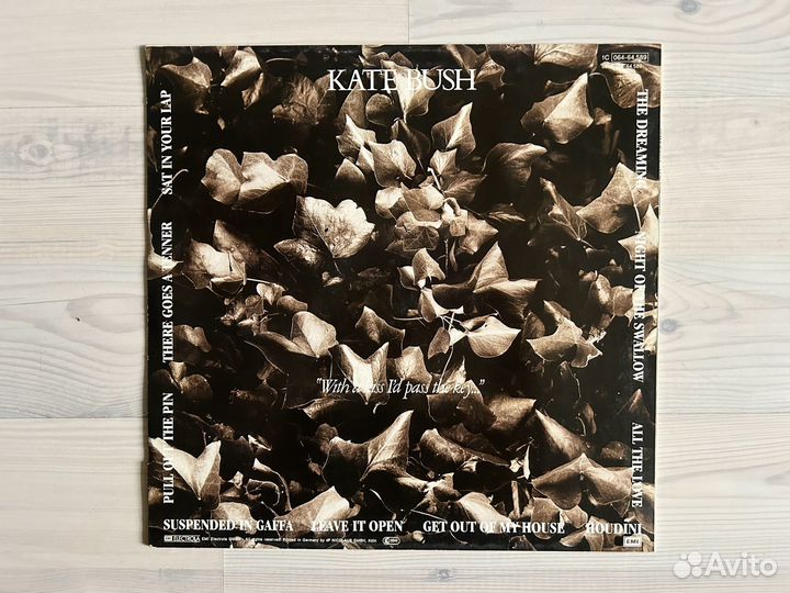 Винил Kate Bush – The Dreaming (LP) Eur 1982