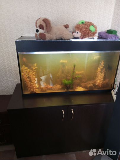Аквариум