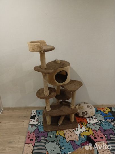 Игровой комплекс для кошек