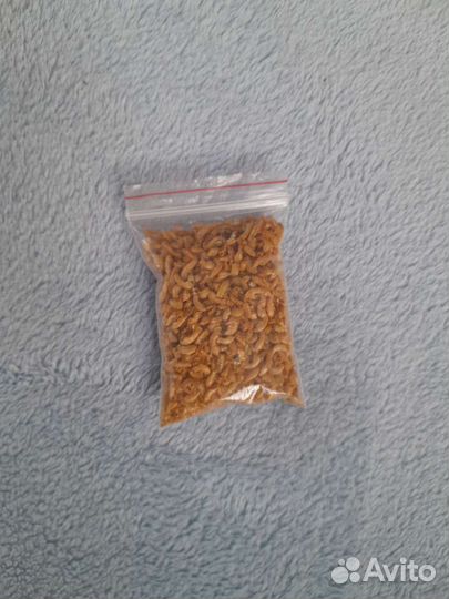 Корм для черепах