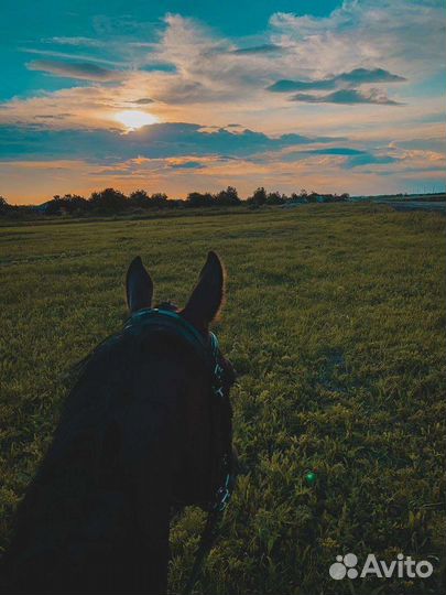 Прокат, Фотосессии, Персональные тренировки