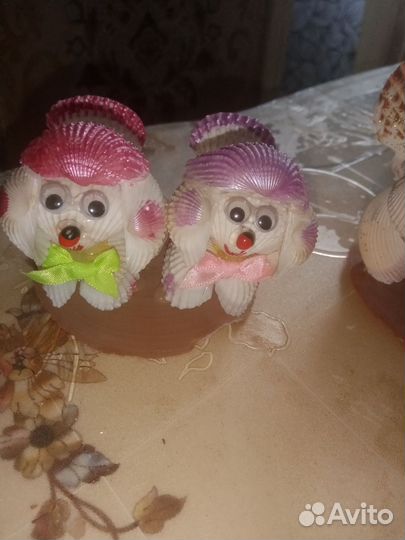 Ракушка, Таиланд