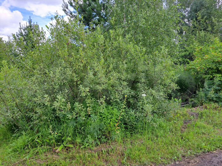 Дача 10 м² на участке 6 сот.