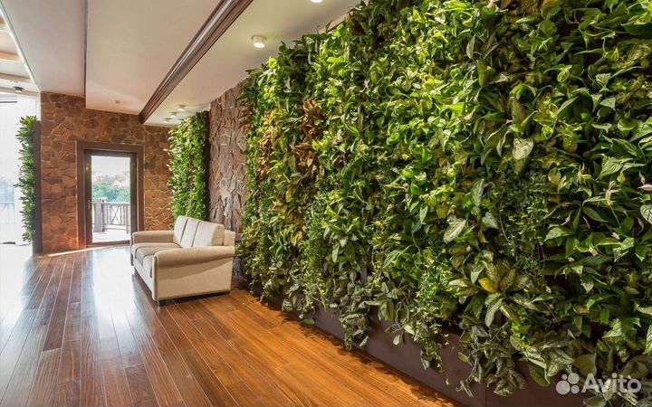 Зеленое оформление: фитокартина Арт: 215109