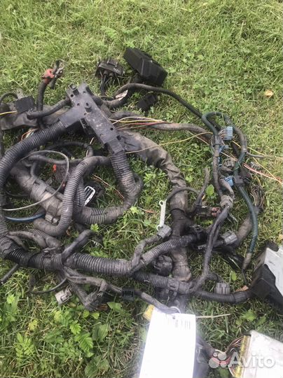 Эбу Митсубиши Шариот Грандис