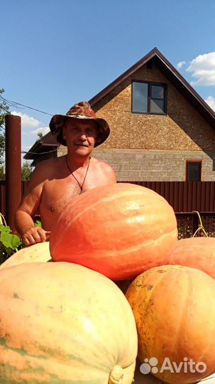 Тыквенный сок