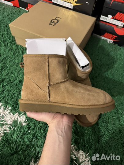 7 размеров UGG Classic Mini II Boot wmns Chestnut