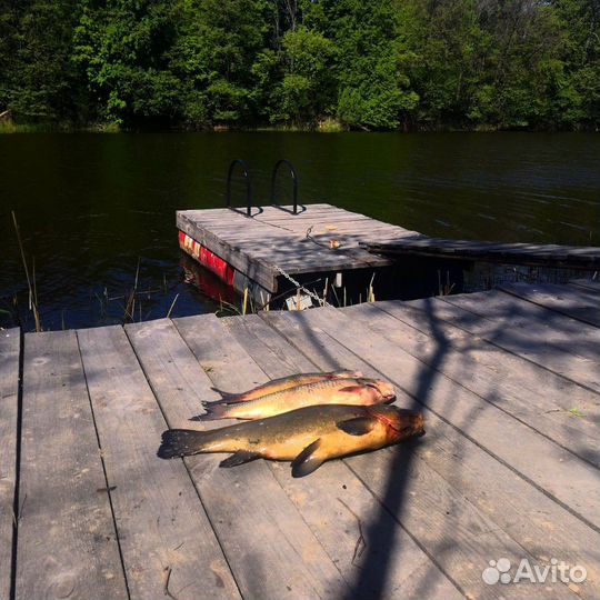 Отдых на Свапе