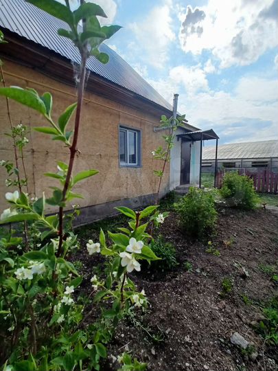 Дом 80 м² на участке 10 сот.