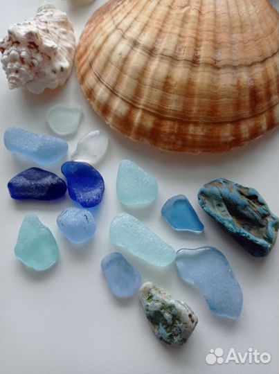 Ракушки раковины стеклянные камушки для аквариума