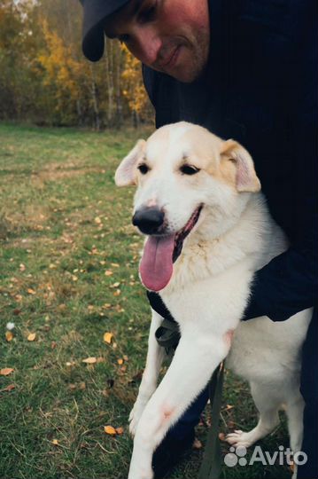 Добрая Дея в добрые руки