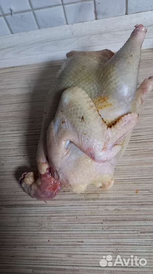 Мясо домашней птицы