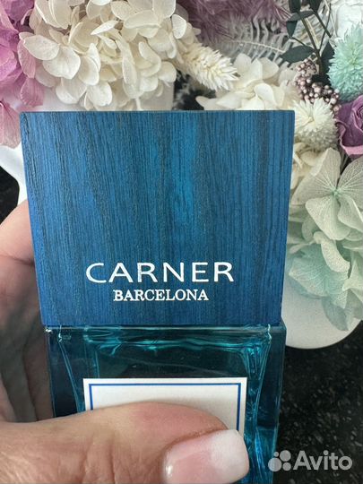 Carner Ibiza Nights 100 ml Оригинал