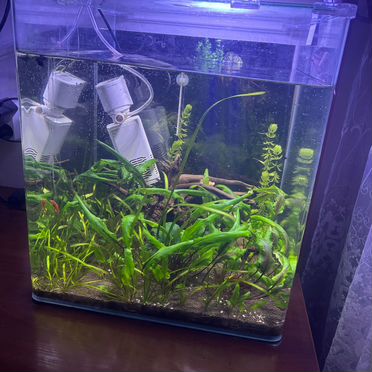 Аквариум dennerle nano cube 60 литров