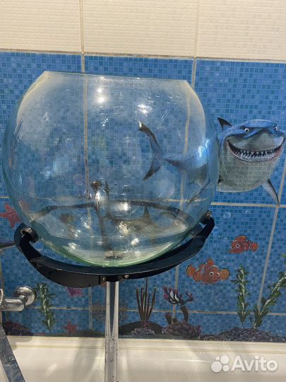 Аквариум