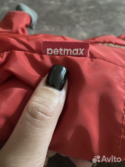 Одежда для собак