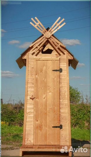 Дачный туалет с кошкой IAU