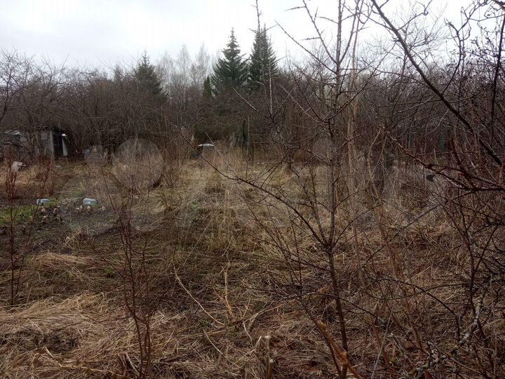 Участок 10 сот. (СНТ, ДНП)