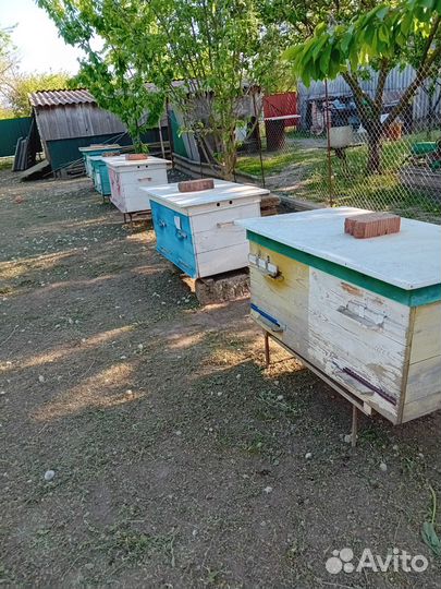 Улей лежак 24 рамки