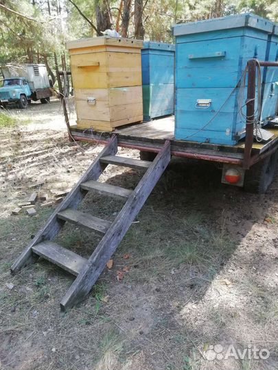 Прицеп пчеловодческий
