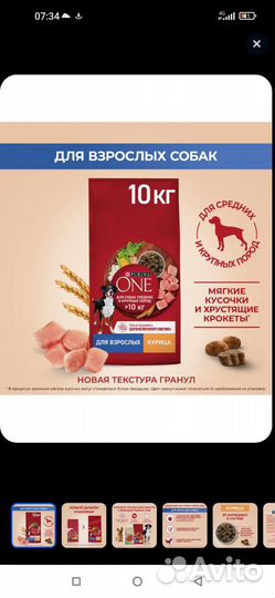 Корм для собак