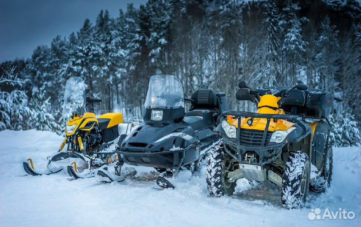 Обучение на квадроцикл снегоход А1