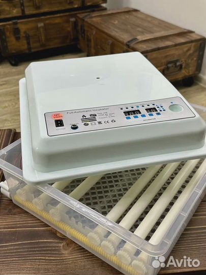 Инкубатор для яиц автоматический. Ряба, новый